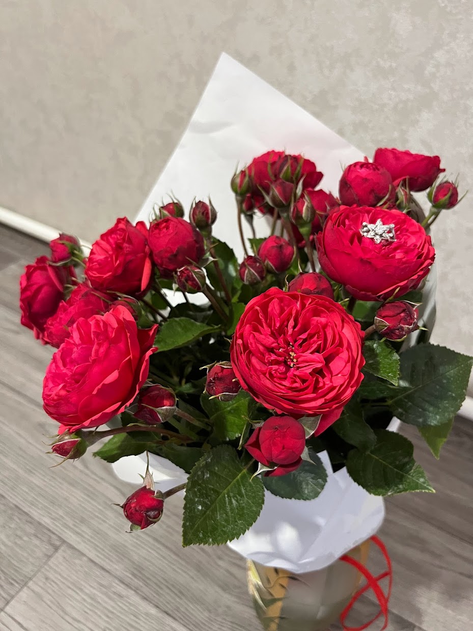 Ред Піано (Red Piano)